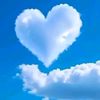 javier_502.c