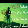 madt515