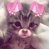 kystts_111