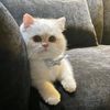 user1323021237714