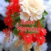 ct.aminah6