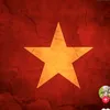 xun.lm801