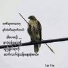 user7021249740813