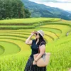 hien88113