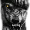 sadiq.cavadov05