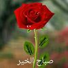 samia.farouq