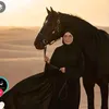 zanb_600