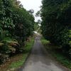 rinz_rinao