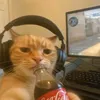 ahlykyle
