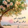 user8031739452253