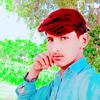 muhammad.shahbaz260