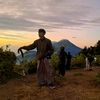 ajis.syarief