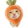 piwpiwiiv