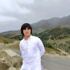 dangergulli6