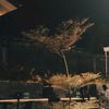 bangboh_02