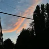 terexov_14