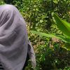 satarah039