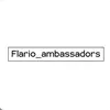 flario_group_ambassadors