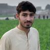irfan45376