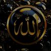 user8543504383351