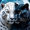 mommylion3