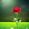 abdiqadir121