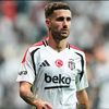 aslan.73.benek