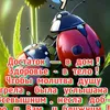 user6529856192250