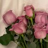 aseel50553
