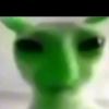 xxadrianxx.fino