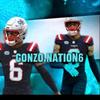 gonzo.nation6