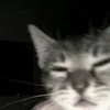 7hvnly