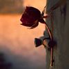 user3451939942018