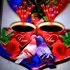 victor.jose.casti5