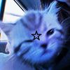 starstarstars2.0