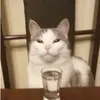 millo_slav
