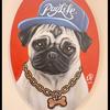 cholo_pugg13