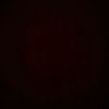cambell_lightner