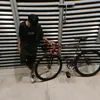 raldfixed213