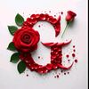 gulfam.shoukat4