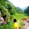 aarush.gurung591