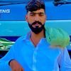 ali.jutt3915