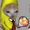 cailonma555