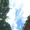 blue_syyy