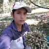 quang.vinh033