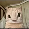 roronoazorofreemap