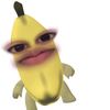 nay4_noveria