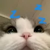dongianlaluoiq