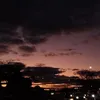 obisposis