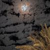 omayed05